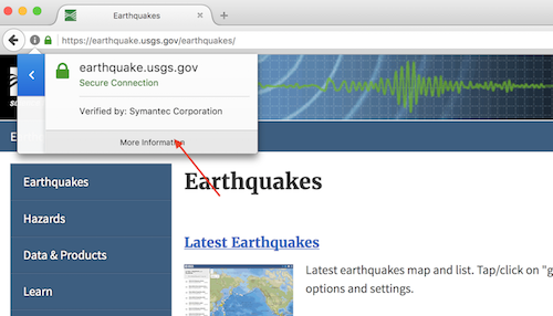 Look up SSL-related information in the browser - 2