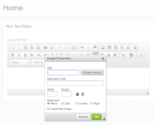Rich Text editor, with the upload image functionality