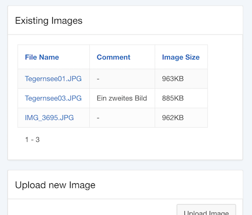 Rich Text editor, with the upload image functionality