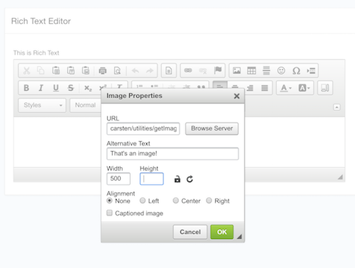 Rich Text editor, with the upload image functionality