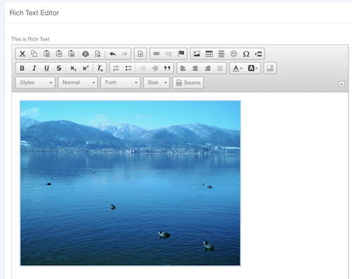Rich Text editor, with the upload image functionality